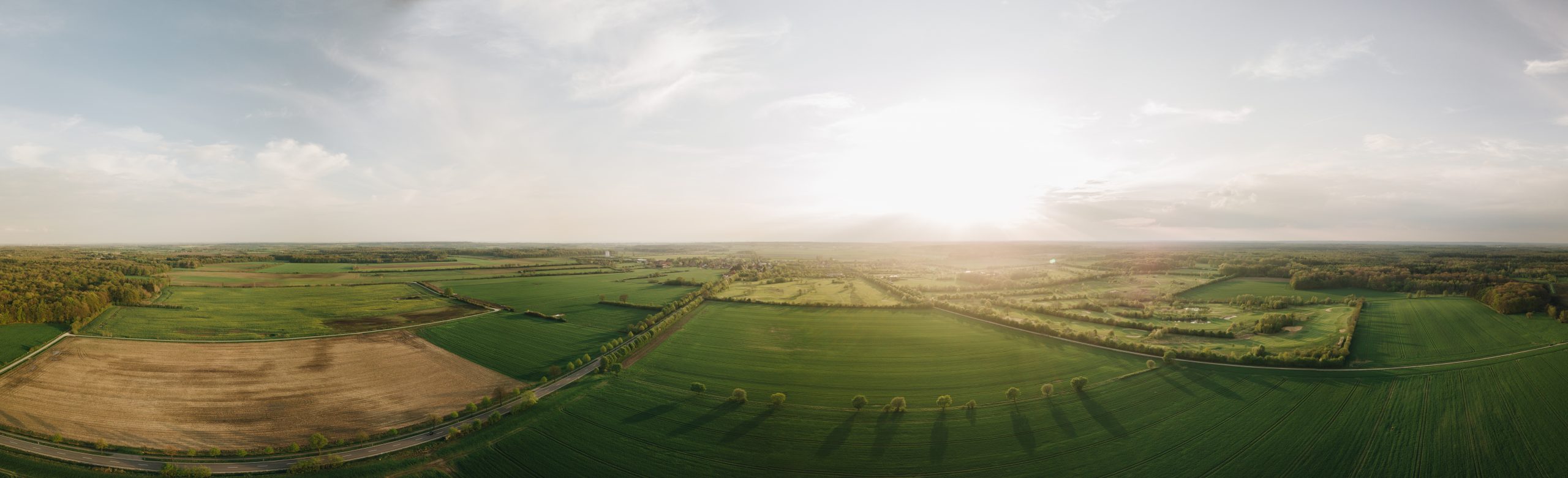 Leist Auctioneers Michigan's Premier Auction Company